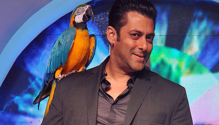 salman-khan-bigg-boss